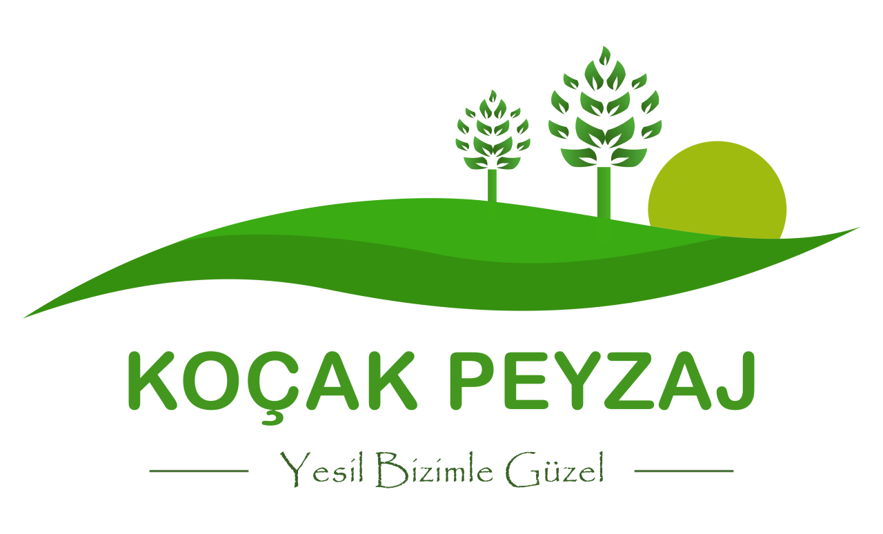 Ahşap platformlar ve pergolalar
